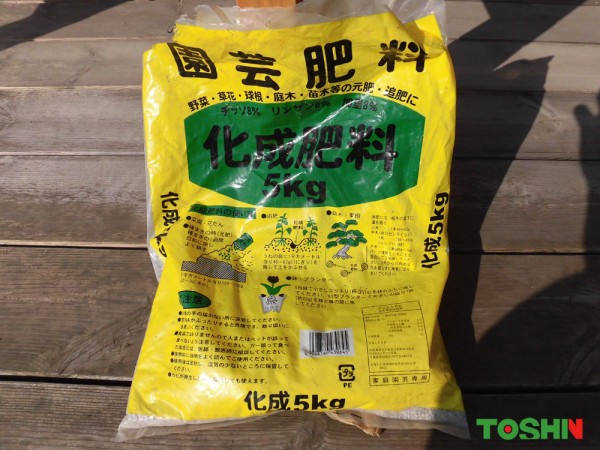 菜園で緑一色の野菜を大量に収穫