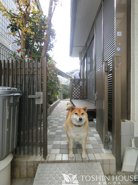 ワンちゃんも快適な庭リフォーム